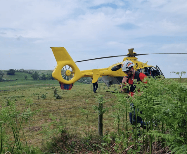 Mountain biker suffers severe injury at Caersws bike park