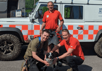 Sheepdog rescued from cliff face