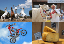 It's showtime! Get ready for the Royal Welsh Show 2023