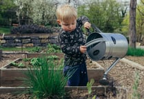 Nature grants now available to Powys groups