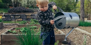 Nature grants now available to Powys groups