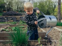 Nature grants now available to Powys groups