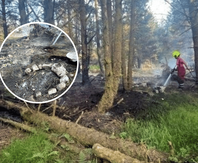 Fire crews respond to second forest fire in two day