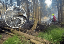 Fire crews respond to second forest fire in two day