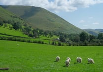 NFU Cymru launches Sustainable Agriculture Award