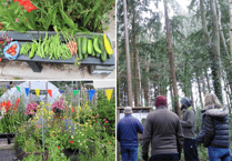 Brecon and District Mind launches Green Minds programme