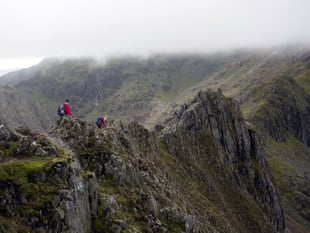 FUW staff aiming to raise £50,000 for DPJ Foundation