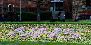 NHS celebration to be held at the Muse in Brecon 