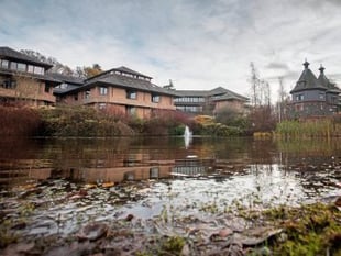 Powys Cabinet votes to become a Council of Sanctuary 