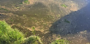 Water bosses grilled by MSs over illegal sewage spills