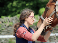 Speaker captivates crowd at Mid Wales tourism equine holidays business