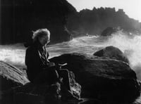 Biography of 'neglected' Welsh female artist to be launched in Brecon