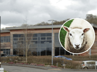Trecastle farmer faces £1,300 fine for improper sheep carcass disposal