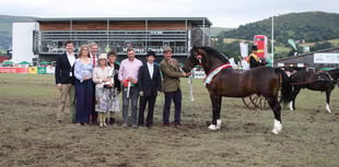 Royal Welsh Show comes to a close after four fantastic days