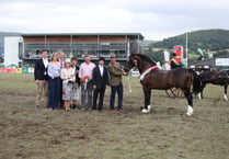 Royal Welsh Show comes to a close after four fantastic days