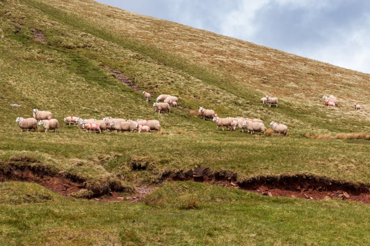 Brecon Beacons