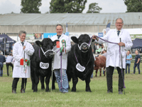 Knighton couple reflect on Royal Welsh Show success 