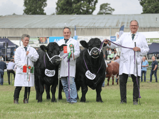 Knighton couple reflect on Royal Welsh Show success 