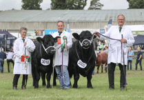 Knighton couple reflect on Royal Welsh Show success 