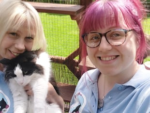 The Powys mother and daughter with 70 cats in their home