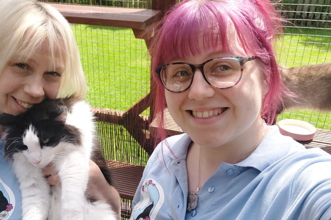 Karen and Lauren live in Powys with over 70 cats in their home