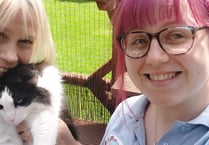The Powys mother and daughter with 70 cats in their home