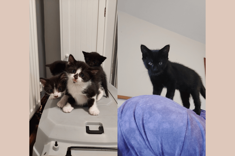 The duo have started a fundraiser to help with costs