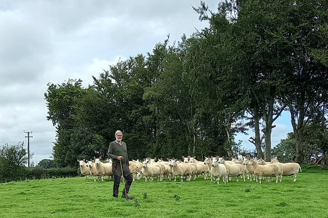 David Pittendreigh’s Coedyfoel flock quickly became renowned and numbers peaked at 100, with his breeding stock going on to start 53 flocks in West Wales