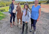 Winner Ophelia meets social media pony star Haribo at Brandy House Farm