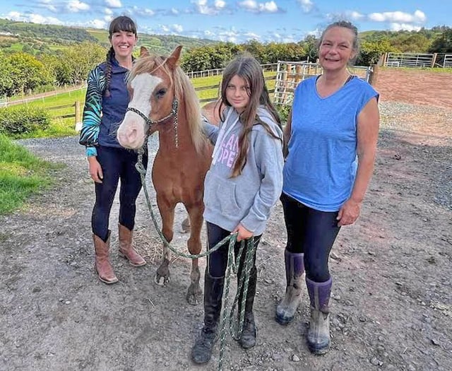 Winner Ophelia meets social media pony star Haribo at Brandy House Farm