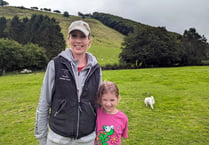 Powys farm breaks ground with hillside tea plantation