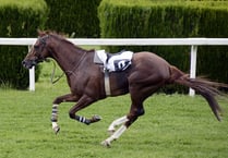 James Evans MS shows support for horseracing in Wales