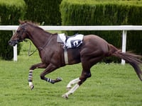 James Evans MS shows support for horseracing in Wales
