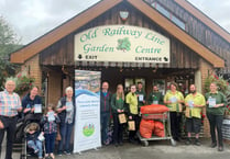 Village set to spring to life with garden centre's daffodil donation