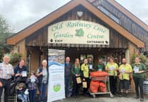 Village set to spring to life with garden centre's daffodil donation