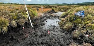 Wales offers grants for ‘shovel-ready’ peatland projects