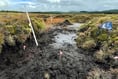 Wales offers grants for ‘shovel-ready’ peatland projects