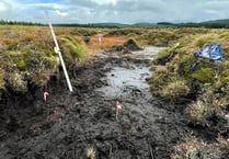 Wales offers grants for ‘shovel-ready’ peatland projects