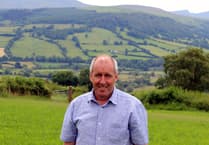 Brecon farmer tests innovative crop solution for lamb finishing