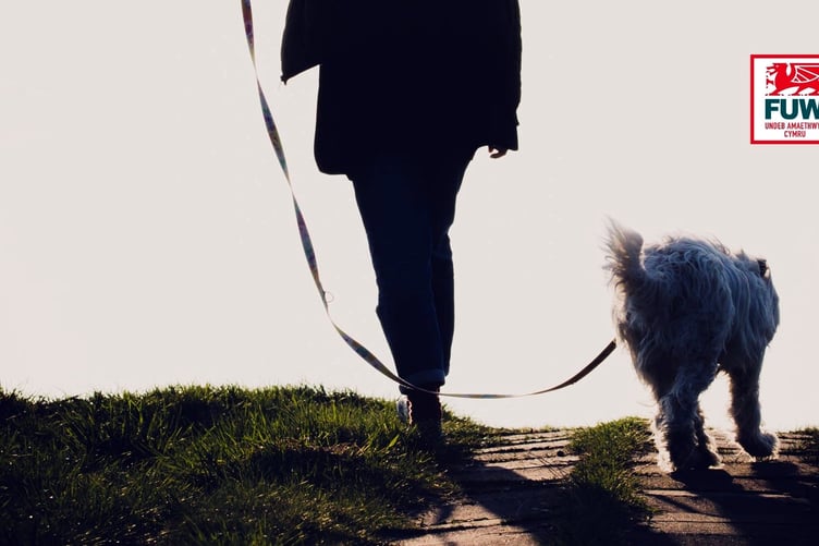 Dog on lead