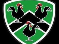 Gwernyfed extend unbeaten run with seven-try win at Risca
