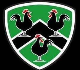 Gwernyfed extend unbeaten run with seven-try win at Risca