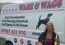 Libanus resident's dog grooming business wins big at business awards