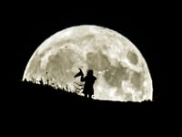 Halloween 2023: Dozens of witches living in Powys
