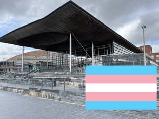 Transgender women could stand as women in future Senedd elections 