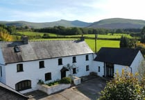 Character farmhouse for sale in foothills with "magnificent" views