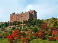 Mid Wales a haven for wellbeing breaks this autumn and winter