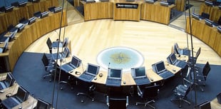 Plans to ban MSs for deliberately lying may be 'unworkable'