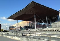 Plans to reform Senedd elections 'a step back'