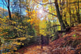VIDEO: Picture This - Autumn photography!